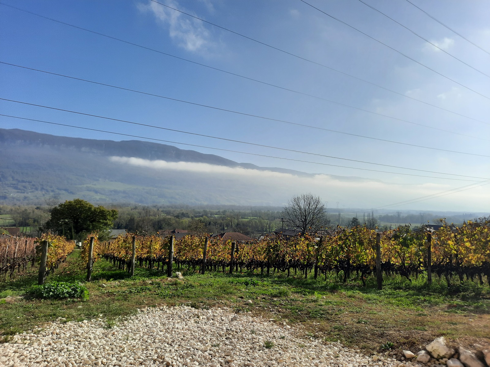 gîte au coeur des vignes Bugey